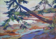 Leaning Pine, Gulf islands BC14 x 16in acrylic