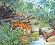 Ranthambore Tiger acrylic 16 x 20in